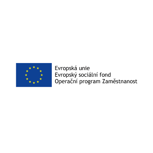 Evropský sociální fond